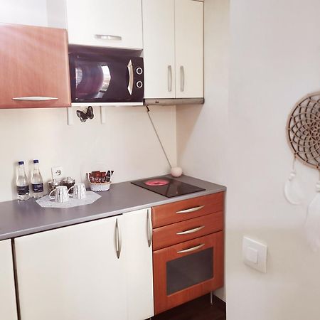Nice & Economic Studio Baia Mare Exterior foto